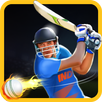 Cricket Champions APK