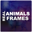 Real Animals Frames PIP aplikacja