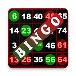 Bingo Combo