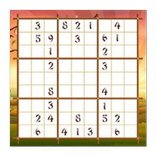 Sudoku Oyunu Türkçe