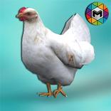 My Chicken Simulator
