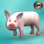Pig Simulator