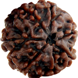 Rudrakshas