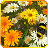 Wild Flowers 3D Live Wallpaper