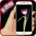 X-Ray Flowers Scanner LWP