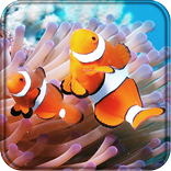 Clownfish 3D Live Wallpaper