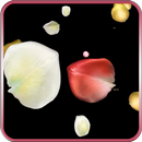 Petals 3D APK