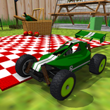 rc parkir pembalap Mini