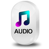 Audio Codec