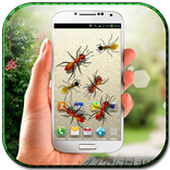 Ants in Mobile Prank