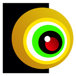IPCam Widget