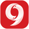 APK apk9Apps Version
