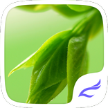 Natural Dew drop