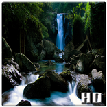 Nature HD Wallpaper