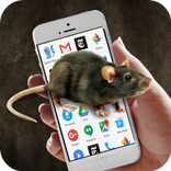 Mice  Screen Joke