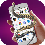 Python Snake Prank