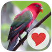 3 Pics 1 Key Word APK