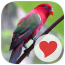 3 Pics 1 Key Word APK