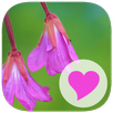 580 Words APK