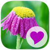 400 Exceptional Words APK