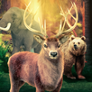 Animal Hunter 2017 APK