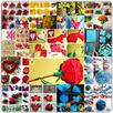 Paper flower craft APK