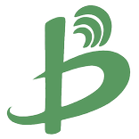 backchina.com