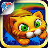 City Cat