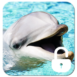 Dolphins Ocean Lock Screen