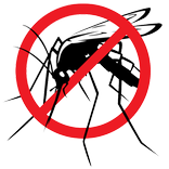 Dengue