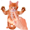 Tickle Talking Cat APK