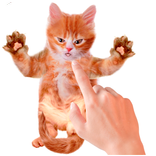 Bens gato falante