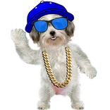Amazing Dog