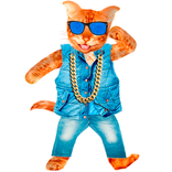 Dancing and Talking Cat