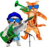 Singing Dog vs Talking Cat