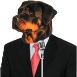 Dog Sounds