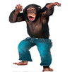 Funny Talking Monkey APK