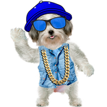 Funny Talking Dog