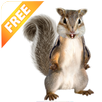 Talking Squirrel APK