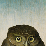 Bosch the Painter