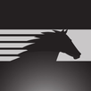 NS Corp APK