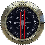 Compass professionnel