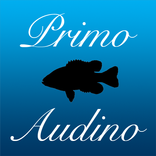 Primo Audino