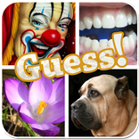 PICS QUIZ - Guess The Word