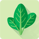 Вегетарианские рецепты APK