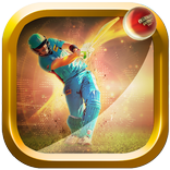 Cricket Multiplayer 2017