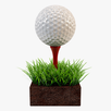 Mini Golf Club 2 APK