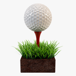 Mini Golf Club 2