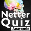 Netter Quiz APK