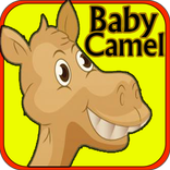 baby camel adventure
